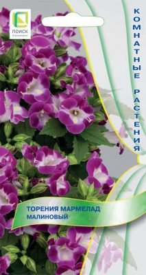 Торения малиновая