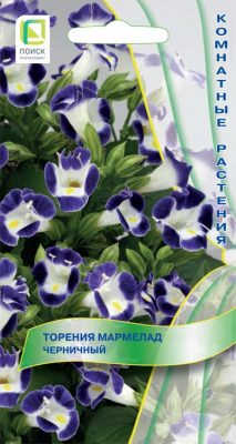 Торения черничная