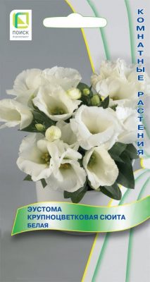 Эустома белая