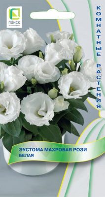 Эустома махровая белая