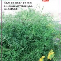Укроп Грибовский ранние сорта