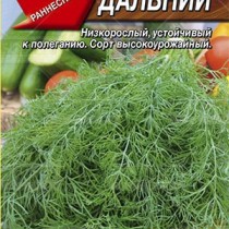 Укроп Дальний ранние сорта