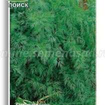 Укроп Аллигатор позднеспелые сорта