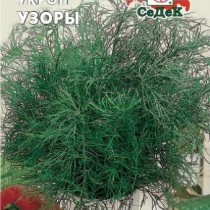 Укроп Узоры позднеспелые сорта