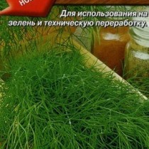 Укроп Борей позднеспелые сорта