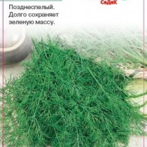 Укроп Кибрай позднеспелые сорта
