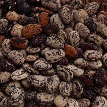 Jekson Uonder Beans