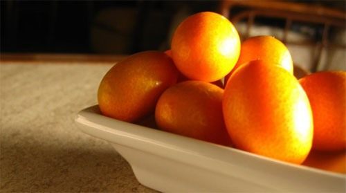Кумкваты