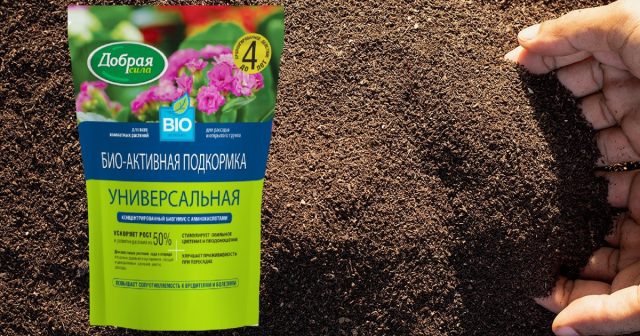 Биогумус для комнатных растений