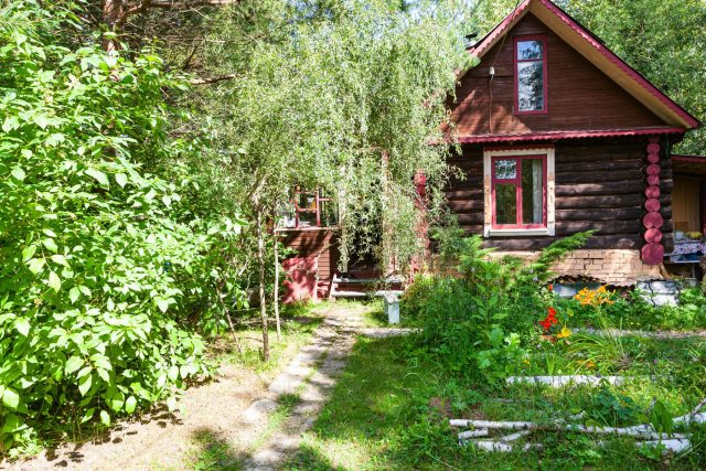 Как благоустроить бабушкин сад сохранив старые плодовые деревья