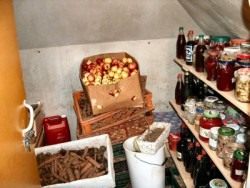 Погреб для хранения овощей