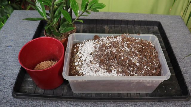 Компоненты для приготовления субстрата своими руками