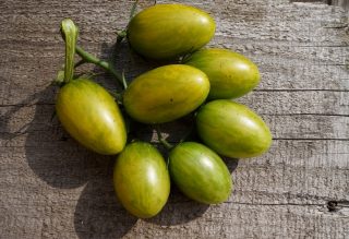 Томаты черри «Зеленый тигр» (Solanum lycopersicum var. Cerasiforme ‘Green Tiger’) Томаты черри «Зеленый тигр