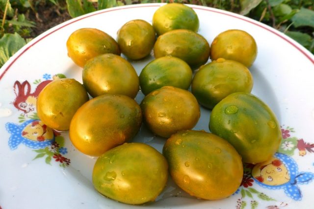 Томаты черри «Зелёная Жемчужина» (Solanum lycopersicum var. Cerasiforme ‘Green Pearl’) Томаты черри «Зелёная Жемчужина