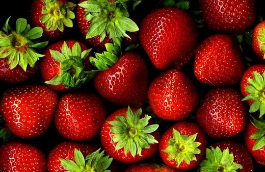 Рассада земляники с закрытой корневой системой