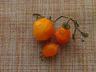 Подсохший томат «Джаджу» вкуснее, чем свежий