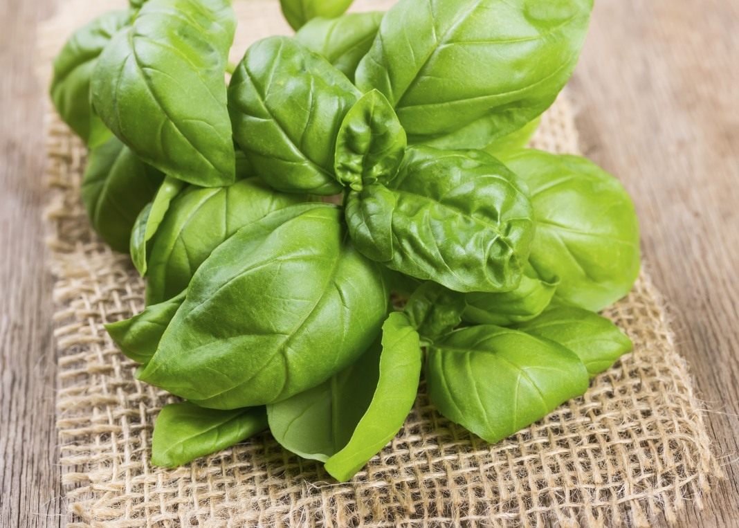Егу