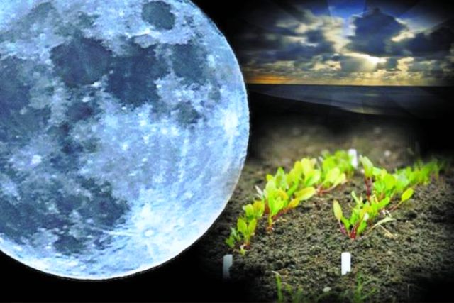 Лунный посевной календарь на февраль 2027 года